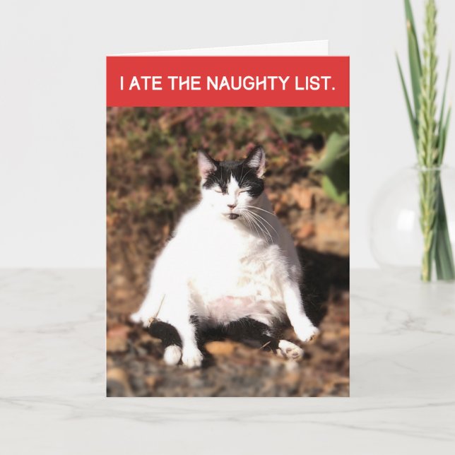 Carte Funny Cat Ate Père Noël Naughty List Noël (Devant)