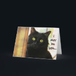 Carte Funny Cat Belated Birthday Card, je n'ai pas eu de<br><div class="desc">Funny Cat Belated Birthday Card,  je n'ai pas eu de fourrure-get!</div>