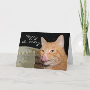 Carte Funny cat Birthday