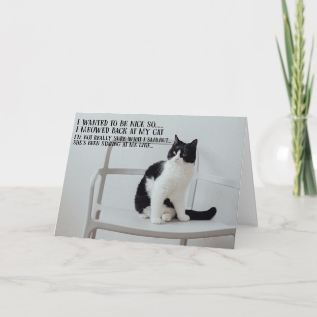 Carte Funny Cat Birthday Greeting Card  (Devant)