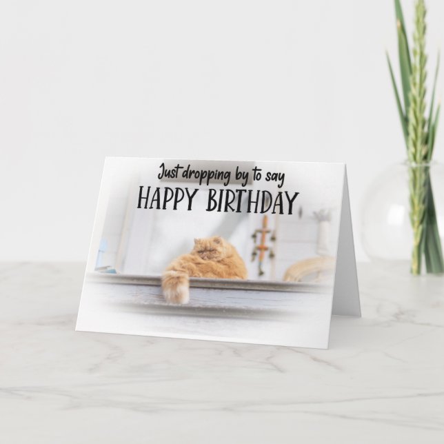 Carte Funny Cat Birthday Greeting Card  (Devant)