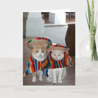 Carte Funny Chat Espagnol Anniversaire pour mari ou femm
