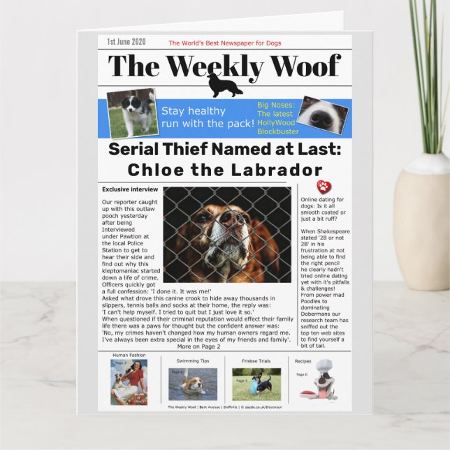 Carte Funny Chien Journal (Devant)