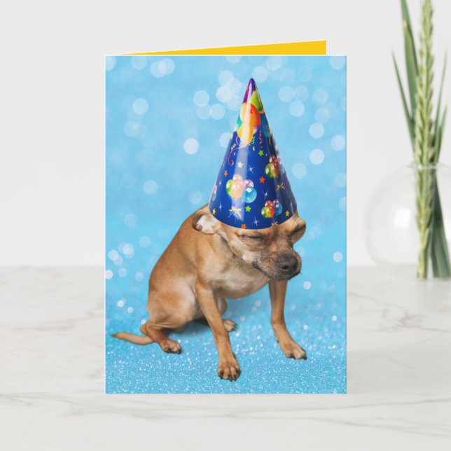 Carte Funny Chihuahua In Birthday Party Hat (Devant)