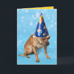 Carte Funny Chihuahua In Birthday Party Hat<br><div class="desc">This grimacing Chihuahua is not too thrilled about having another birthday. Le moût de la bête. The inside says,  "Today's your day to be in the spotlight! Smile and have a happy birthday!" Or whatever you want it to say.</div>