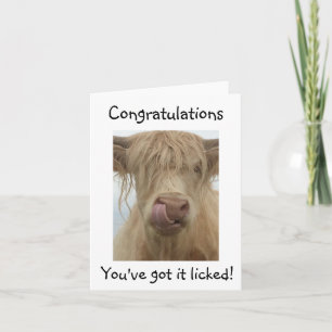 Carte Funny Cow Félicitations Card
