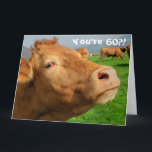 Carte Funny Cow Happy 60th Birthday Card<br><div class="desc">Ce design présente une drôle d'image d'une vache ! Idéal pour des occasions spéciales telles que anniversaires,  anniversaires et plus encore. Si vous souhaitez personnaliser la conception en modifiant le message,  l'âge ou la police,  cliquez sur "Modifier la conception".</div>