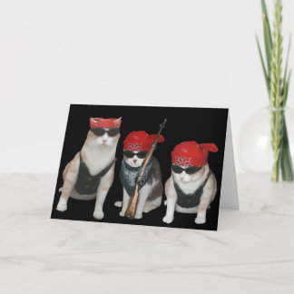 Carte Funny, customizable Biker Cats Birthday