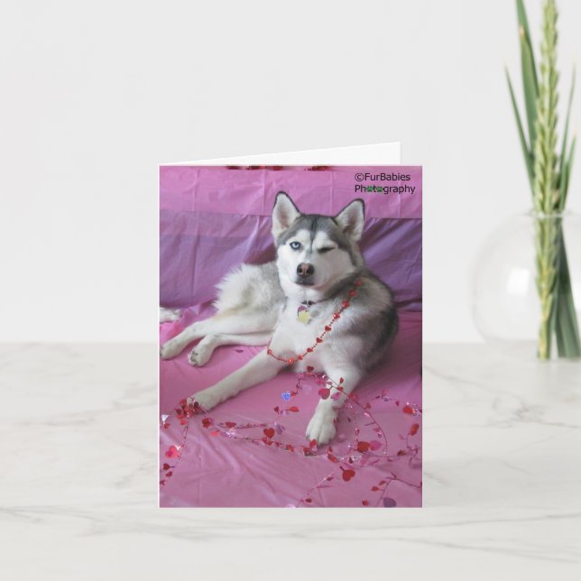 Carte Funny, cute Siberian Husky Valentine's Day (Devant)