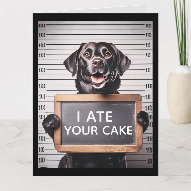 CARTE FUNNY DOG BRTHDAY MUGSHOT GREETING CARD (Devant)