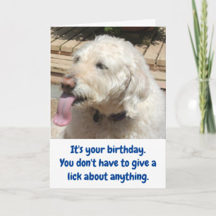 Carte Funny Dog & Ice Cream Birthday
