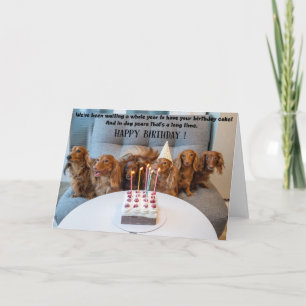 Carte Funny Dogs Birthday Greeting Card 