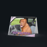 Carte Funny dogue de bordeaux birthday card<br><div class="desc">Funny,  crazy french mastiff greetings card. Text on front reads "Happy birthday!" and text inside reads "Hope you have a great day!"</div>