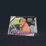 Carte Funny dogue de bordeaux birthday card<br><div class="desc">Funny,  crazy french mastiff greetings card. Text on front reads "Happy birthday!" and text inside reads "Hope you have a great day!"</div>