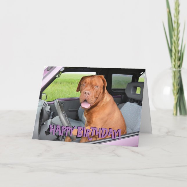 Carte Funny dogue de bordeaux birthday card (Devant)