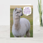 Carte Funny Dolly Llama Birthday Wisdom<br><div class="desc">This Dolly Llama has her own philosophy on life and words of wisdom she wants to share with the world. Non,  non. Fun birthday card for anyone that's not excited about getting older.</div>
