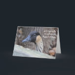 Carte Funny Duck Birthday Card, espérons que votre journ<br><div class="desc">Funny Duck Birthday Card,  espérons que votre journée est Ducky!</div>