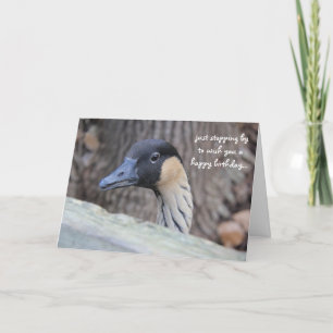 Carte Funny Duck Birthday Card, espérons que votre journ