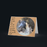 Carte Funny Duck Birthday card, Over the Hill<br><div class="desc">Funny Duck Birthday card,  Over the Hill</div>