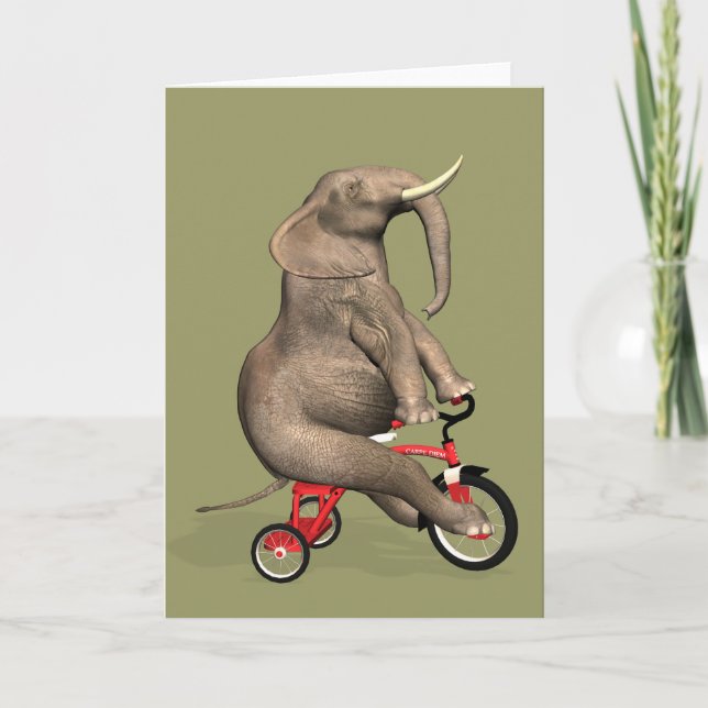 Carte Funny Elephant Riding A Tricycle (Devant)