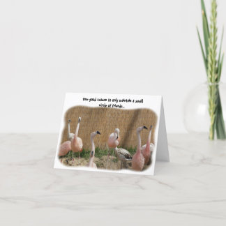 Carte Funny Flamant rose Friend Greeting Card