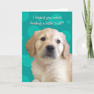 Carte Funny Get Well Card