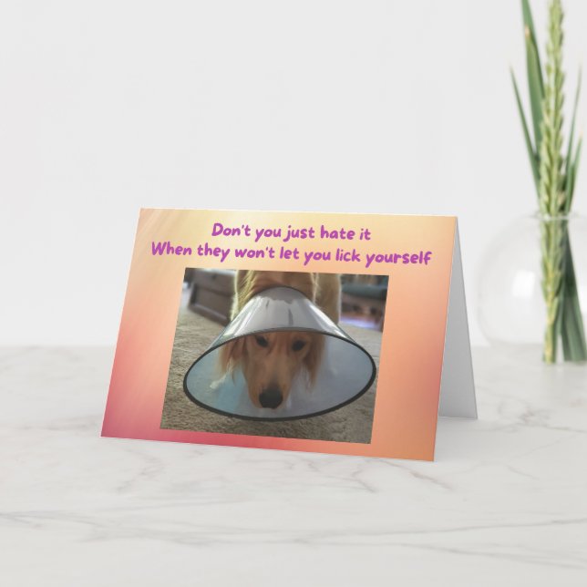 Carte Funny Get Well Card Chien dans le cône (Devant)
