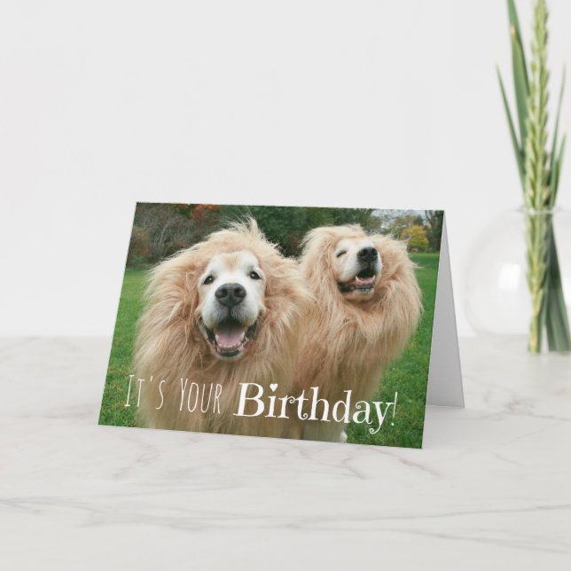 Carte Funny Golden Retriever Chiens Lion Anniversaire (Devant)