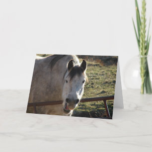 Carte Funny Grey Mare