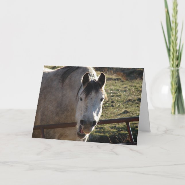 Carte Funny Grey Mare (Devant)