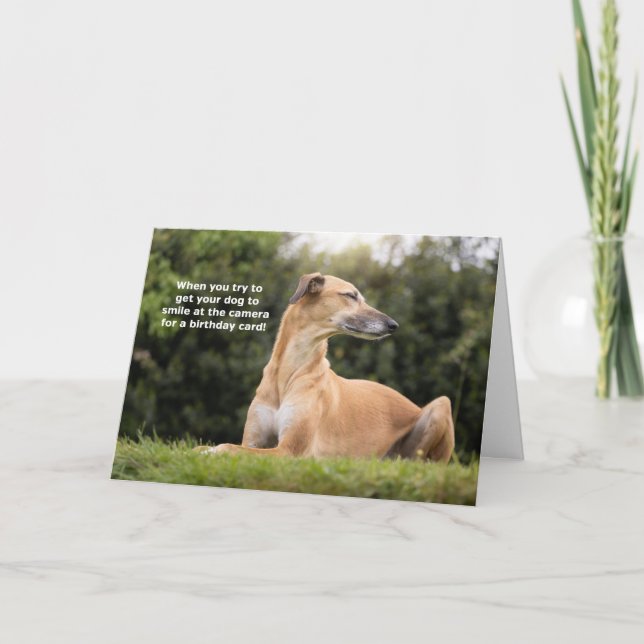 Carte Funny Greyhound Dog Anniversaire (Devant)