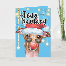 Funny Greyhound Père Noël chien puces de Noël navi