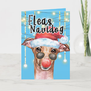 Carte Funny Greyhound Père Noël chien puces de Noël navi