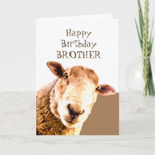 Cartes Humour De Moutons D Anniversaire Zazzle Fr