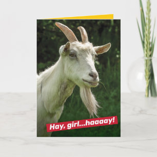 Carte Funny Hey Girl, Hey Ryan Gosling Goat Spoof