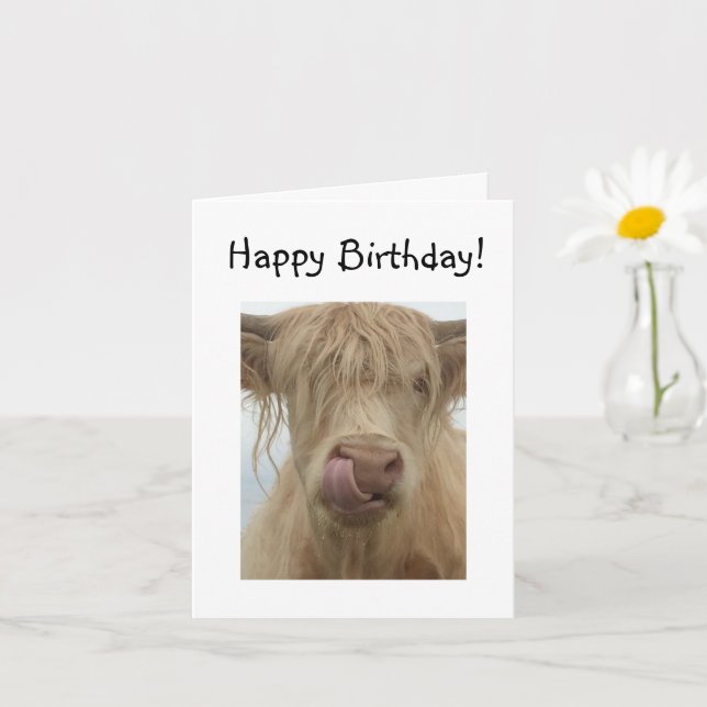 Carte Funny Highland Cow Anniversaire (Petite plante)
