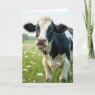 Carte Funny Holstein Vache pour l'anniversaire