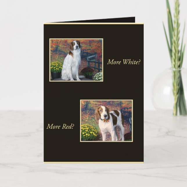 Carte Funny Irish Red and White Setter Birthday Card (Devant)