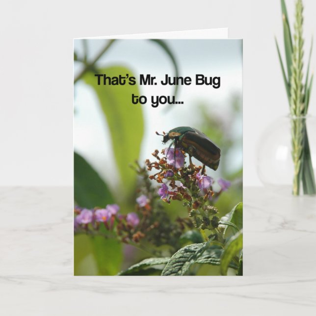 Carte Funny June Bug Greeting Card (Devant)