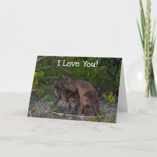 Carte Funny Kangaroo Je T'Aime