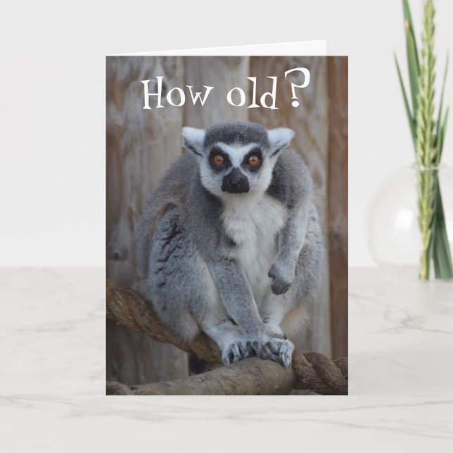 Carte Funny Lemur Card (Devant)