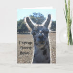 Carte Funny Llama Birthday Card, I speak fluent llama<br><div class="desc">Funny Llama Birthday Card,  I speak fluent llama humorous thday wishes for your favorite llover of llamas !</div>