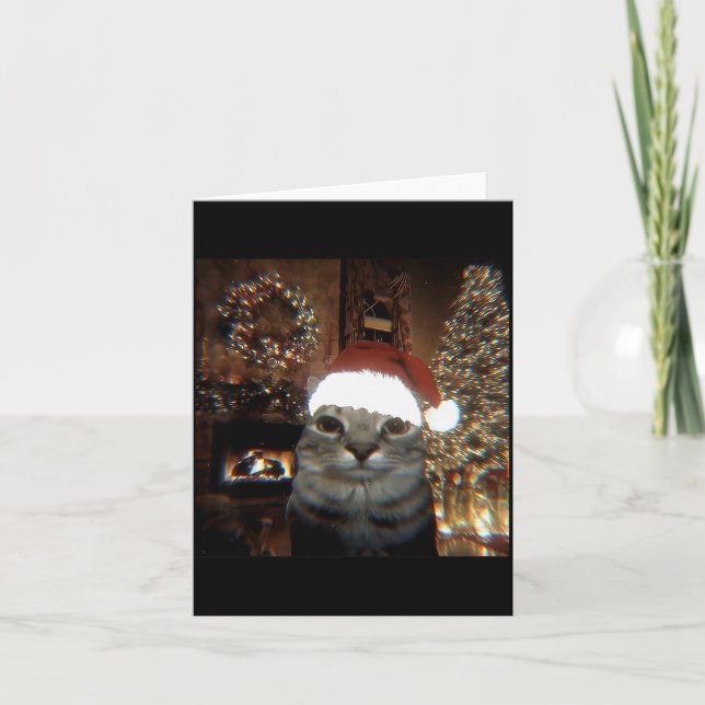 Carte Funny Meme Cat Taking A Selfie Christmas Xmas Ligh (Devant)