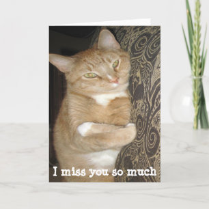 Carte Funny missing you greeting card cat hug