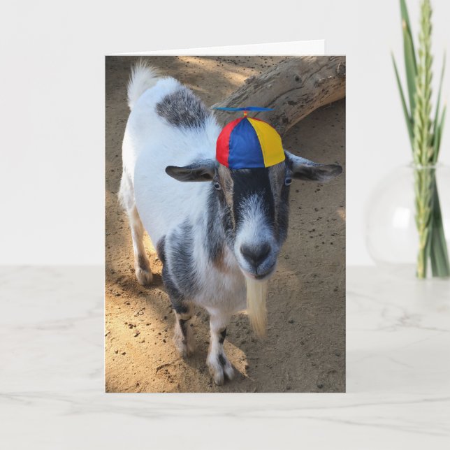 Carte Funny Old Goat Is Still a Kid Birthday Card (Devant)