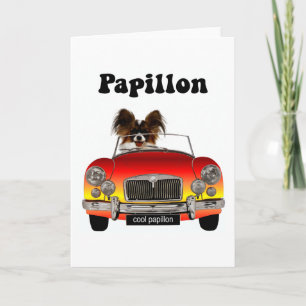 Carte Funny Papillon