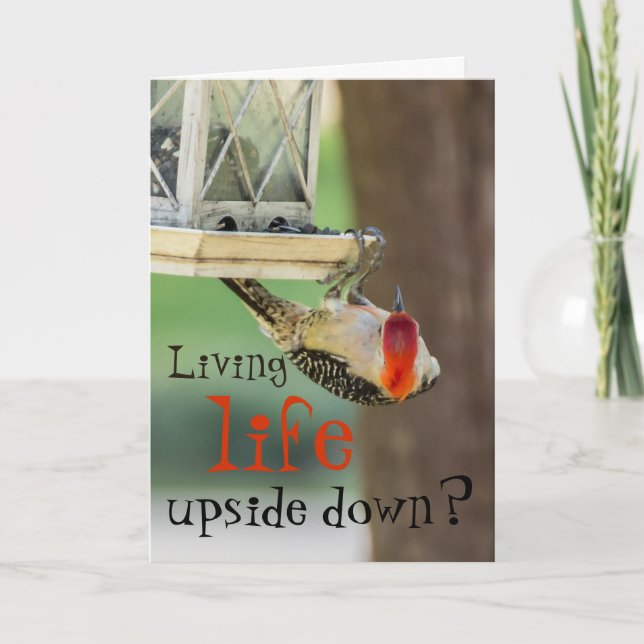 Carte Funny Pic Photographie Typographie Vie Citation (Devant)