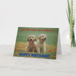 Carte Funny Puppies Birthday Greeting Card<br><div class="desc">Funny Puppies smiling at the park Birthday greeting Card for the dog lovers in your life. This cute greeting card is a perfect way to wish Happy Birthday to a friend,  co-worker,  family member or a special someone.</div>