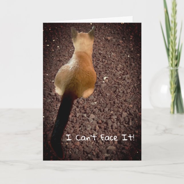 Carte Funny Siamese Kitten Butt Photo Anniversaire (Devant)