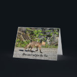 Carte Funny Sly Fox Birthday Card<br><div class="desc">Ce renard sauvage dit que tu ne peux pas le renverser.  Il traverse la piste dans le nord-ouest de la Colombie-Britannique.  Une carte d'anniversaire de la photographie animale humoristique et sournoise. Customiser la carte selon vos souhaits.</div>